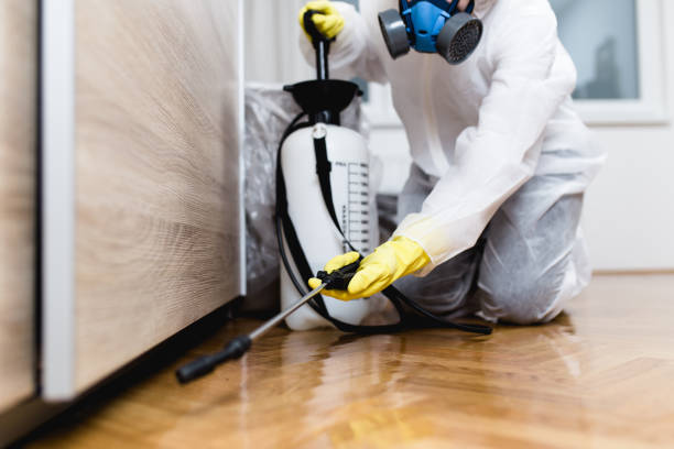 Trusted Fairmount, CO Pest Control Experts