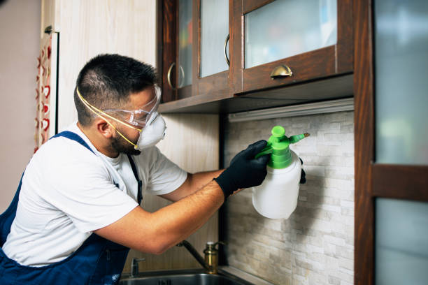 Best Affordable Pest Control Services  in Fairmount, CO