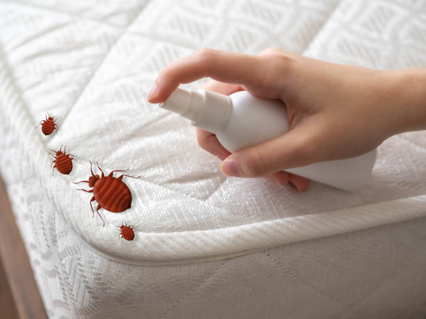 Best Residential Pest Control  in Fairmount, CO