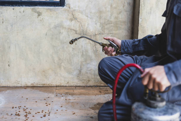 Best Mosquito Control Services  in Fairmount, CO